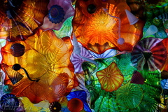 Chihuly Ceiling