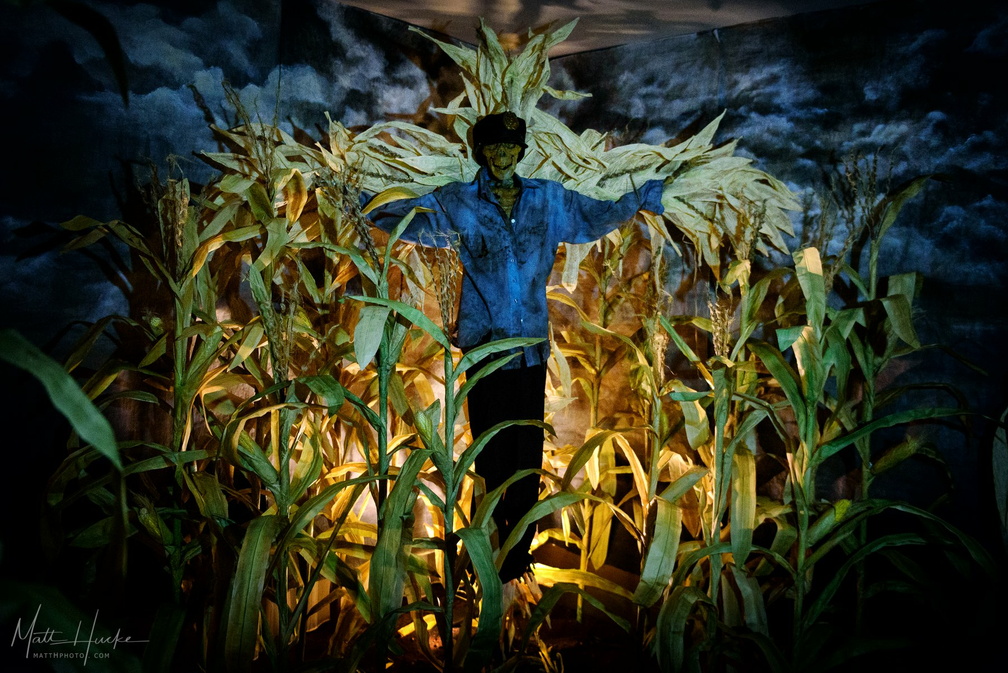 Children of the Corn