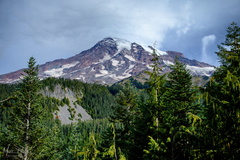 Nisqually-Paradise Road