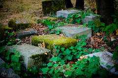 Comet Lodge Cemetery