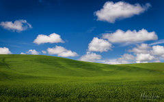 Windows on the Palouse