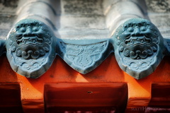 Roof Guardians