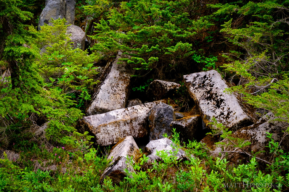 Bagley Lakes Basalt