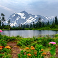 Mount Shuksan and Picture Lake