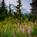 Picture Lake Trail, Mount Shuksan