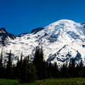 Rainier from Sunrise