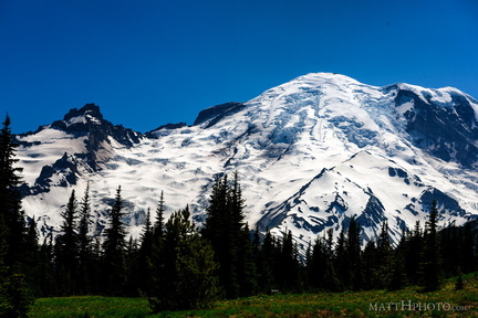 Rainier from Sunrise