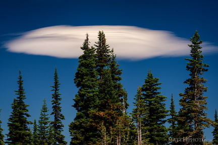 Lenticular