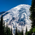 Rainier from Sunrise Point