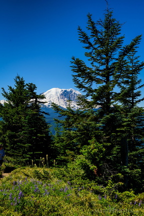 Sun Top Fire Lookout