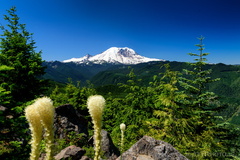 Sun Top Fire Lookout