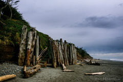 Kalaloch Beach, Olympic National Park