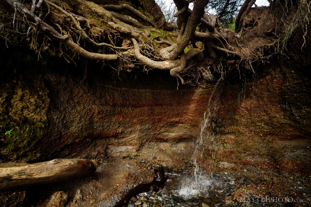 Kalaloch Tree Cave