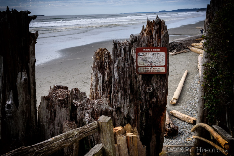 Beach Logs Kill