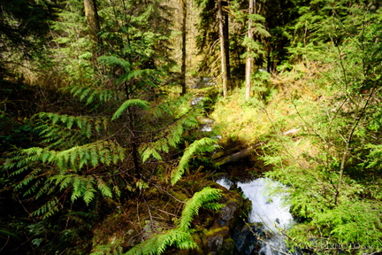 Top of Cascade Falls