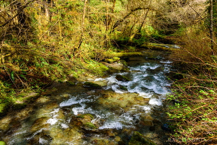 Cascade Creek