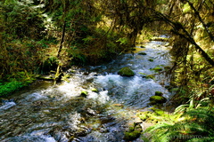 Cascade Creek