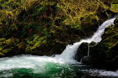 Falls Creek Falls