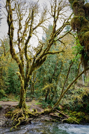 Falls Creek Campground