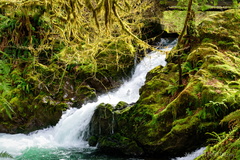 Falls Creek Falls