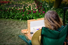 Painter of Tulips