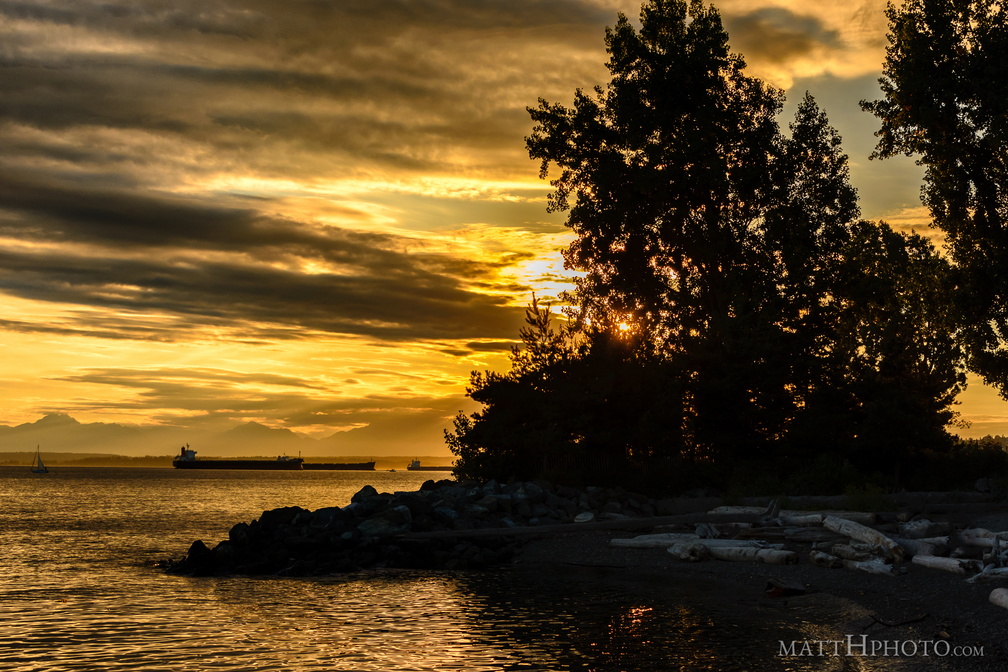 Myrtle Edwards Park