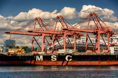 MSC Nerissa in the Port of Seattle