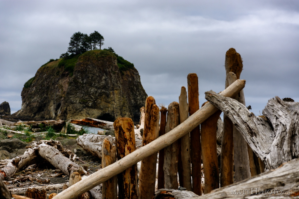 Beach Palisade