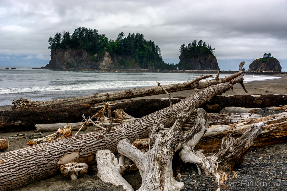 Driftwood near James Island