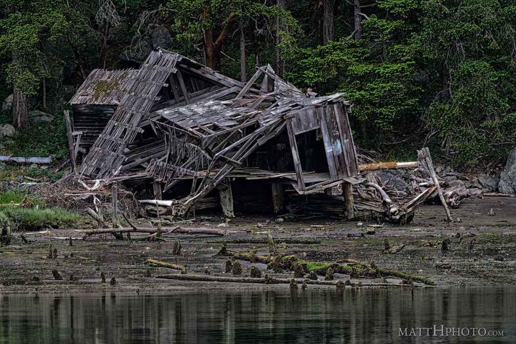 Burned down, fell over, then sank into the swamp