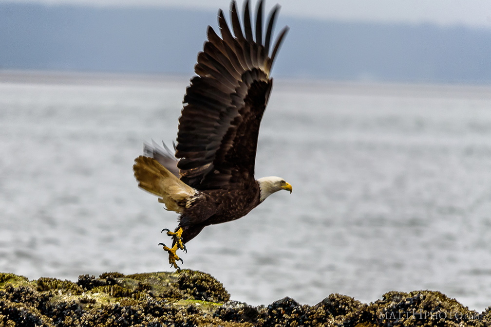 Rocky takeoff