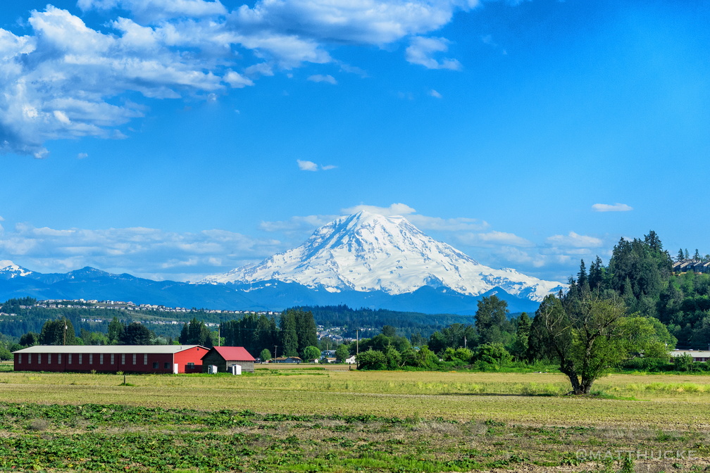 Train Tahoma