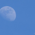 Blue sky moon