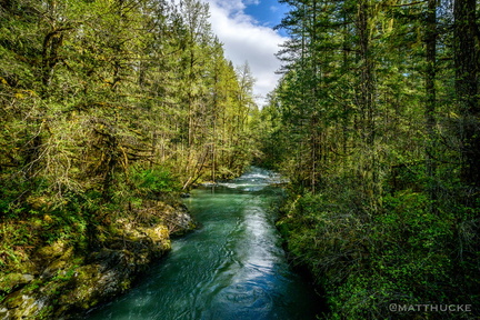 By the river, the trees