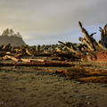 First Beach, La Push WA