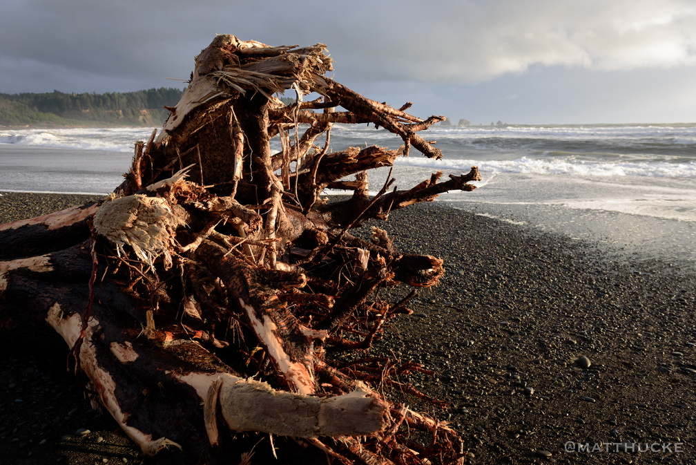 First Beach, La Push WA