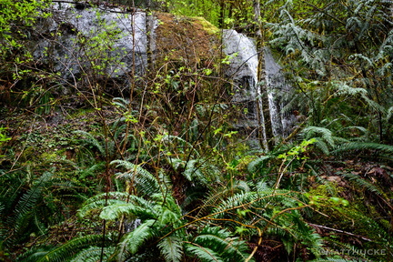 Colonel Bob Trail