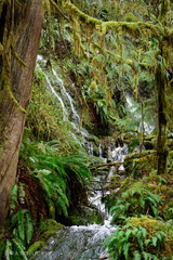 Merriman Falls Satellite