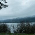 Lake Quinault