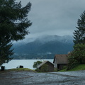 Lake Quinault