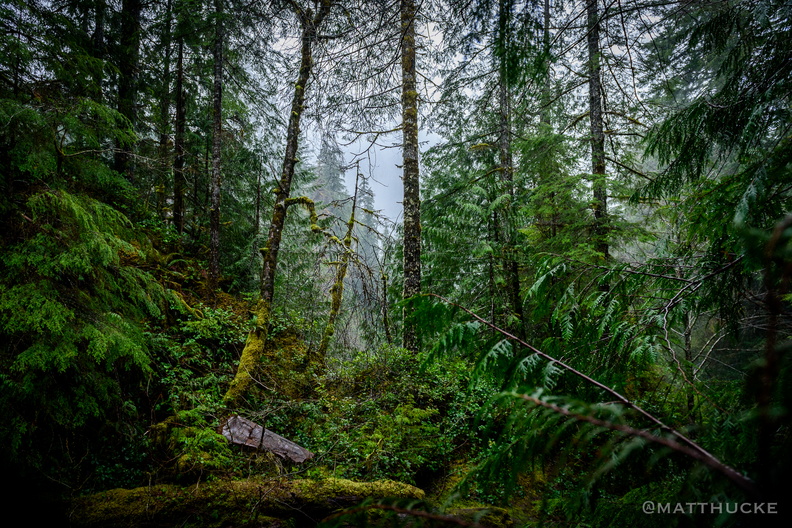 Spoon Creek Falls Trail