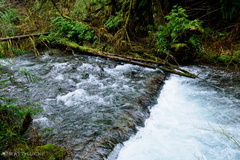 Spoon Creek Falls