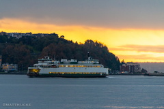 Golden Ferry